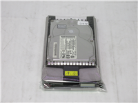3.5インチ 9.1GB ハードディスク SCSI(TY09J012) の詳細